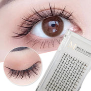 0.10MM Spike Lash Extensions Mixed Tray
